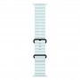 Apple Watch Ultra 2 (2024), GPS + Cellular, титановый корпус 49 мм чёрного цвета, ремешок Ocean голубого цвета