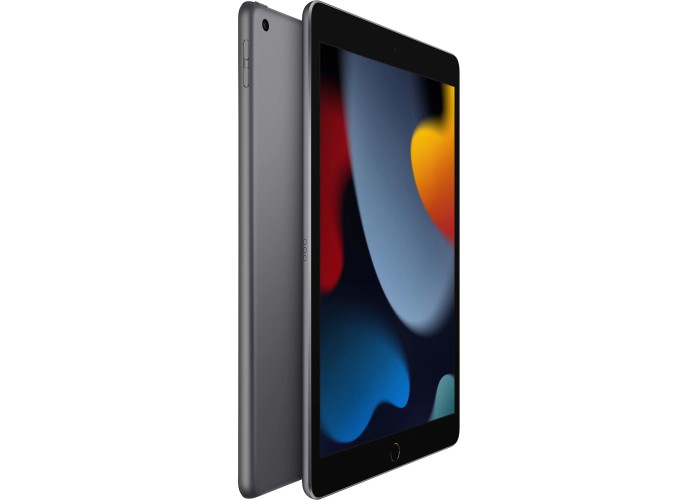 iPad (2021) Wi-Fi 256 ГБ «Серый космос»