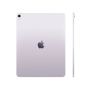 iPad Air (M3, 2025) 13 дюймов Wi-Fi 1 ТБ фиолетовый