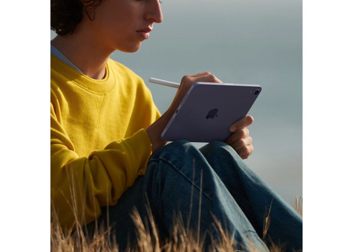 iPad mini (2021) Wi-Fi + Cellular 256 ГБ Розовый