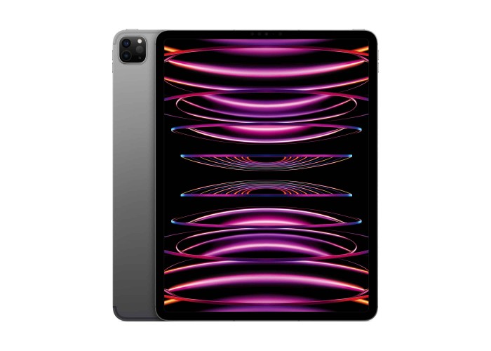 iPad Pro (2022) 12,9 дюйма Wi-Fi + Cellular 128 ГБ «Серый космос»