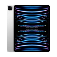 iPad Pro (2022) 12,9 дюйма Wi-Fi + Cellular 128 ГБ Серебристый