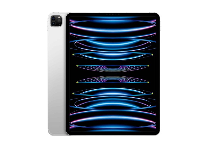 iPad Pro (2022) 12,9 дюйма Wi-Fi + Cellular 256 ГБ Серебристый