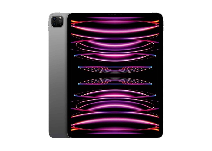 iPad Pro (2022) 12,9 дюйма Wi-Fi 512 ГБ «Серый космос»