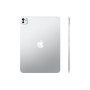 iPad Pro (M5, 2025), 11 дюймов, Wi-Fi + Cellular, 2 ТБ, серебристый