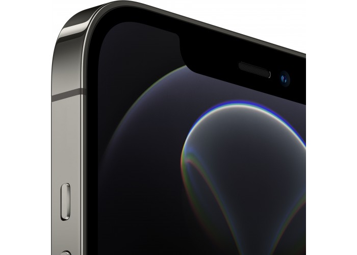 iPhone 12 Pro Max (Dual SIM) 512 ГБ графитовый
