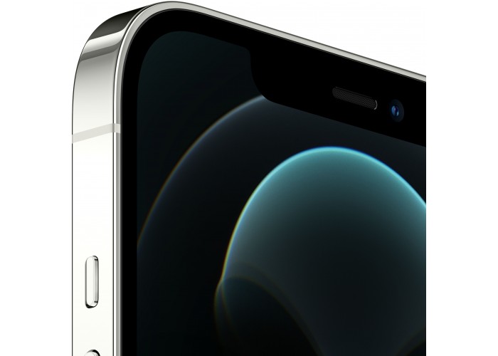 iPhone 12 Pro Max (Dual SIM) 512 ГБ серебристый