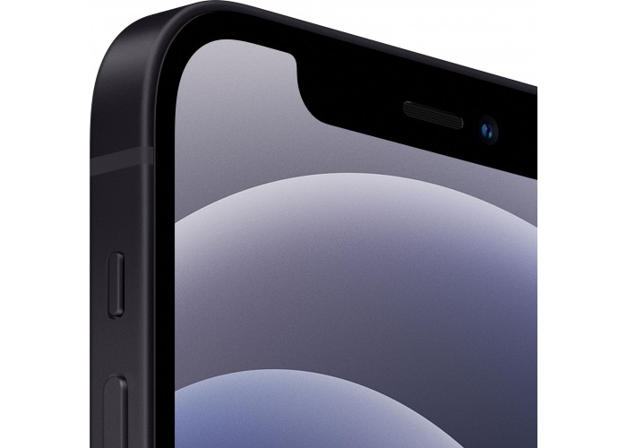 iPhone 12 (Dual SIM) 64 ГБ чёрный