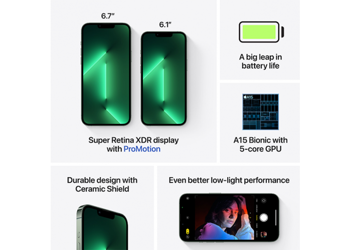 iPhone 13 Pro Max (2 SIM) 128 ГБ «альпийский зелёный»