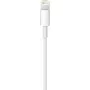 Кабель Apple USB - Lightning (1 м)
