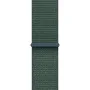 Apple Watch SE (2024), 40 мм, корпус из алюминия цвета «сияющая звезда», спортивный браслет зелёного цвета