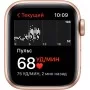 Apple Watch SE, 40 мм, корпус из алюминия золотого цвета, спортивный ремешок цвета «сияющая звезда»