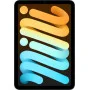 iPad mini (2024) Wi-Fi + Cellular 256 ГБ Голубой