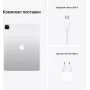 iPad Pro (2021) 12,9 дюйма Wi-Fi + Cellular 256 ГБ Серебристый