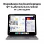 iPad Pro (2024), M4, 13 дюймов, Wi-Fi + Cellular, 1 ТБ, серебристый