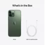 iPhone 13 Pro Max (2 SIM) 1 ТБ «альпийский зелёный»