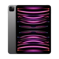 iPad Pro (2022) 11 дюймов Wi-Fi 256 ГБ «Серый космос»